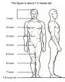 Figure-drawing-proportions.jpg