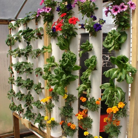Vertical Gardening Plans and DVD